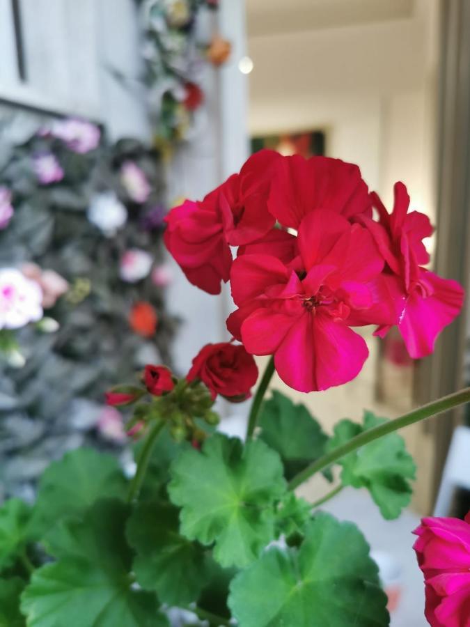 B&B Barbera Florence Ngoại thất bức ảnh